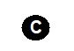 company copyright dates